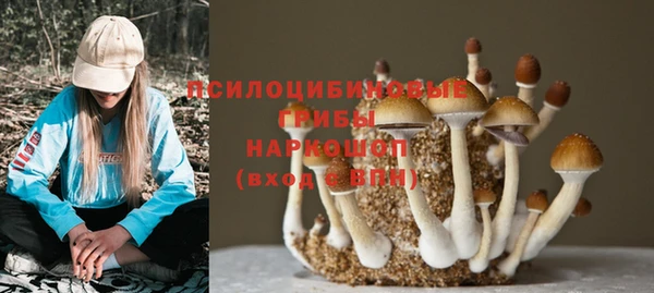 сатива Киренск